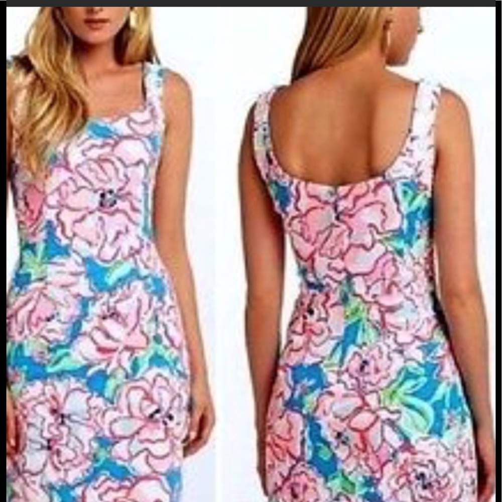 Lilly Pulitzer Nienie Lucky Charm Dress Holy Grail - Picture 1 of 8